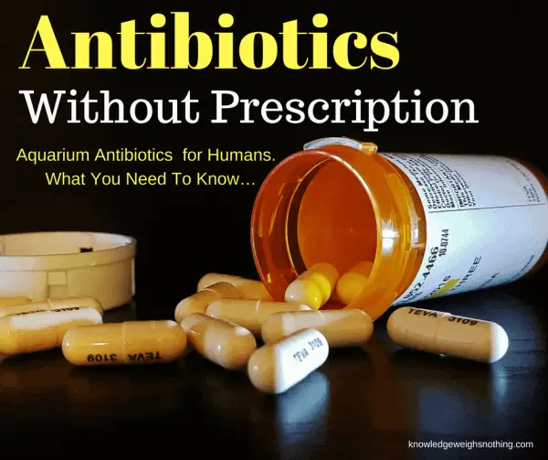 Fish Antibiotics for Humans. What You Need To Know...