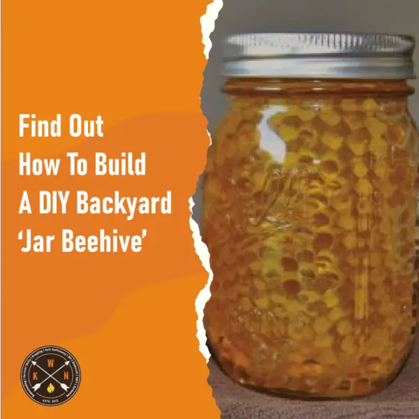 Find Out How To Build A DIY Backyard ‘Jar Beehive