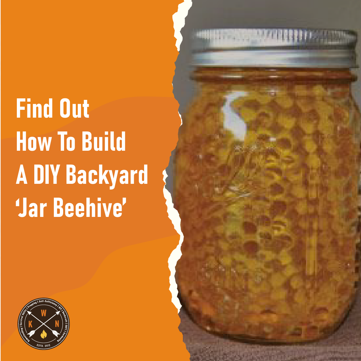 find-out-how-to-build-a-diy-backyard-jar-beehive