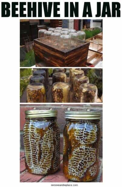 beehive-in-a-jar