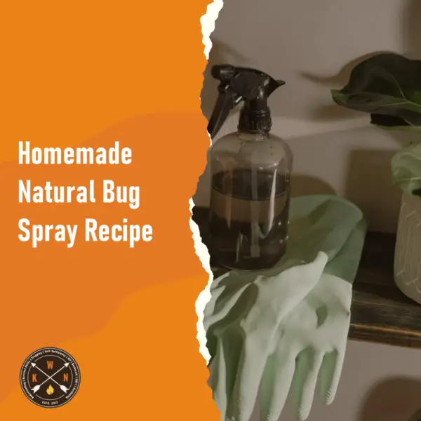 Homemade Natural Bug Spray Recipe for facebook