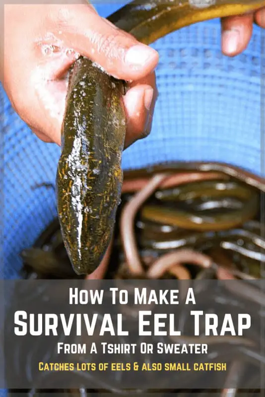 DIY survival eel trap