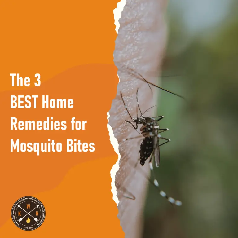 The 3 BEST Home Remedies For Mosquito Bites