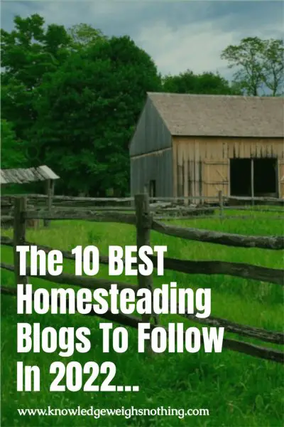 Best homesteading blogs 2022