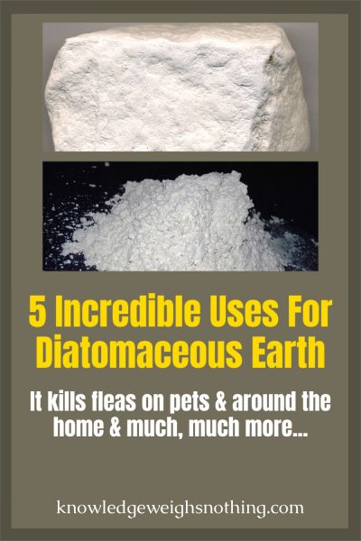 Diatomaceous Earth Uses