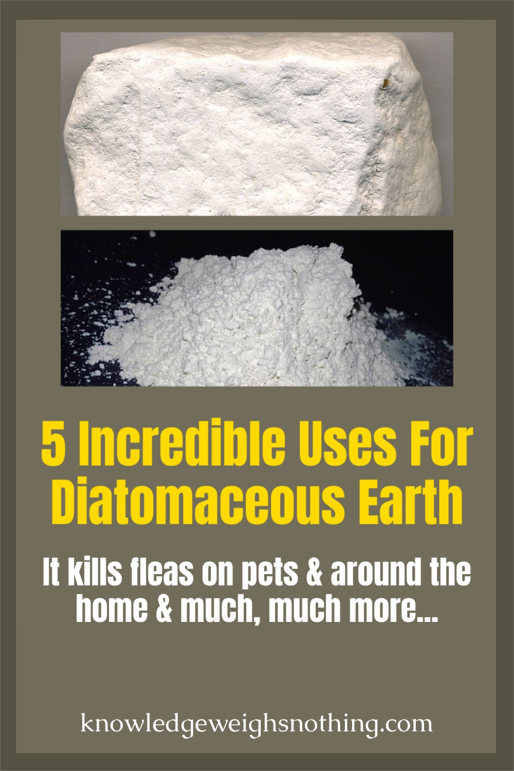 Curated visual reference: Gallery Detail: 5 Incredible Uses For Diatomaceous Some Home Remedies