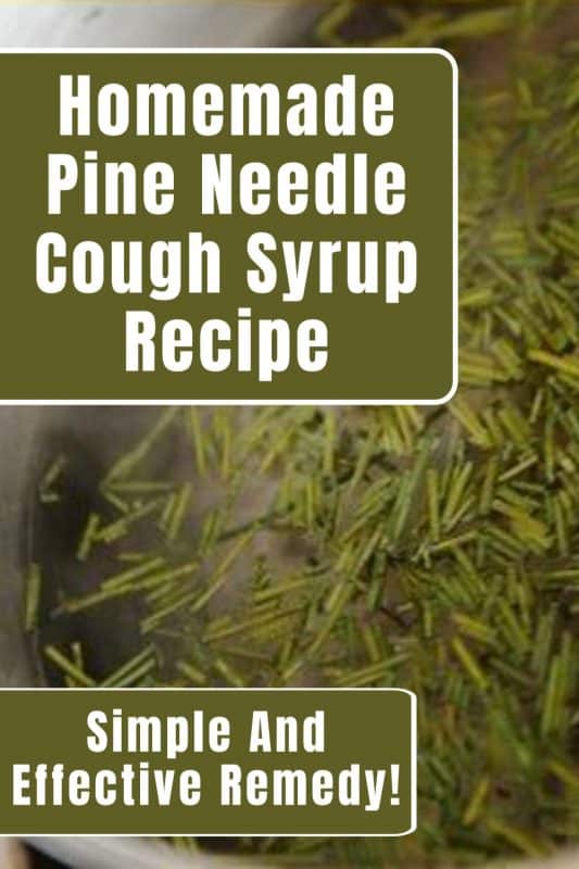 Pine needle cough syrup