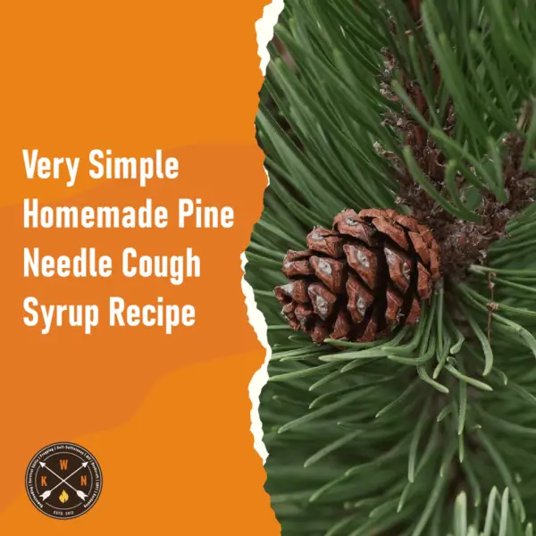 Very Simple Homemade Pine Needle Cough Syrup Recipe for facebook