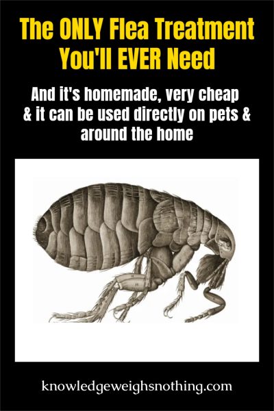 homemadeflea