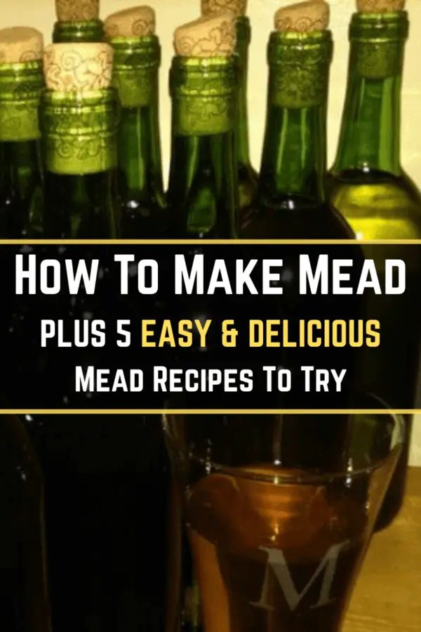 How To Make Mead Plus 5 EASY & Delicious Mead Recipes To Try