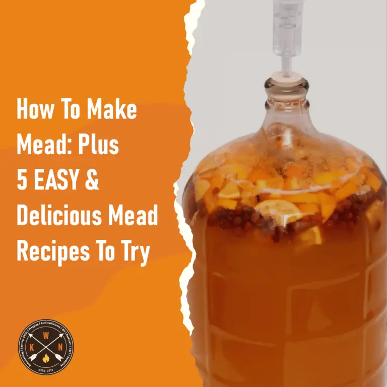 How To Make Mead Plus 5 EASY & Delicious Mead Recipes To Try