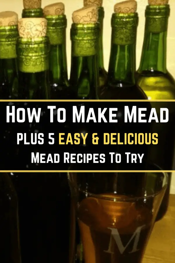 How To Make Mead Plus 5 EASY & Delicious Mead Recipes To Try