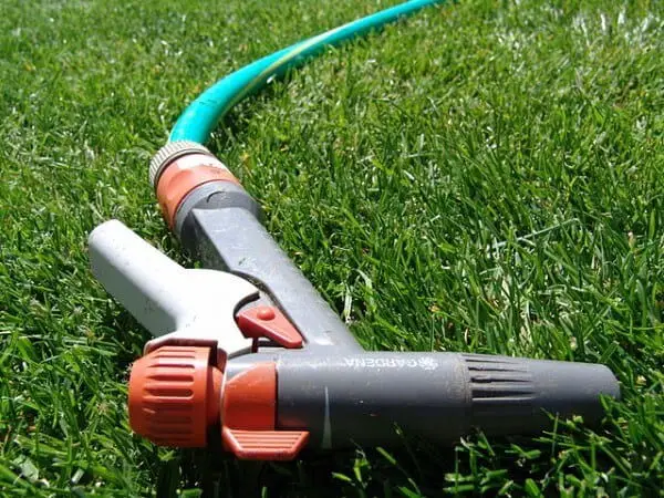 How to get rid of aphids with your garden hose