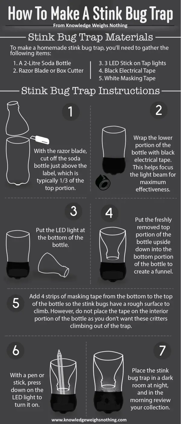 DIY stink bug trap - 2 liter soda bottle & LED light infographic