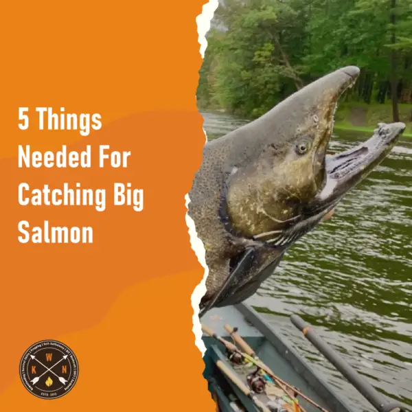 5 Things Needed For Catching Big Salmon