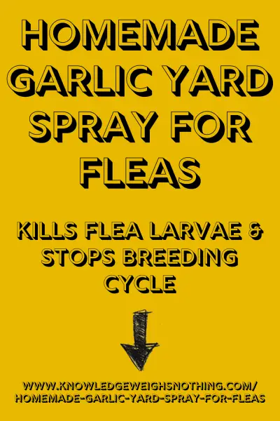 Garlic flea yard spray