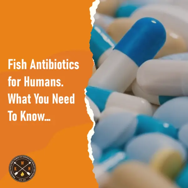 Fish Antibiotics for Humans. What You Need To Know…