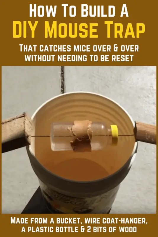 DIY mouse trap