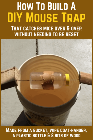 How To Build A Self-Resetting Mouse Trap — These 5-gallon bucket  mouse traps are