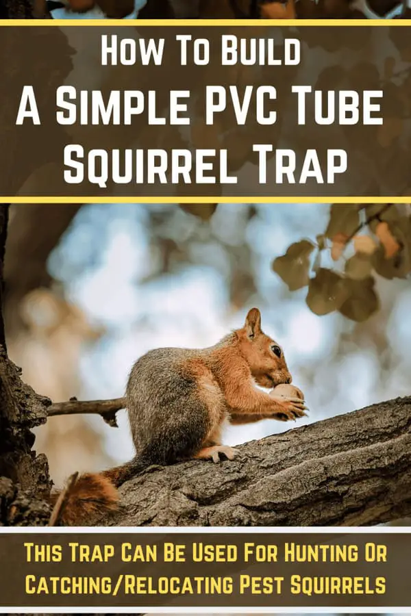 How To Make A Diy Squirrel Trap How To Build A Simple PVC Tube Homemade Squirrel Trap