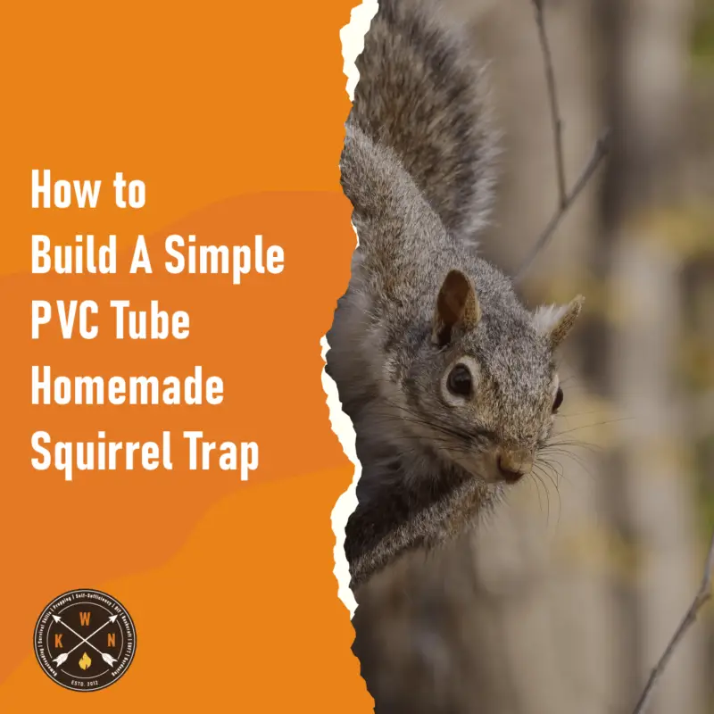 How To Build A Simple PVC Tube Homemade Squirrel Trap
