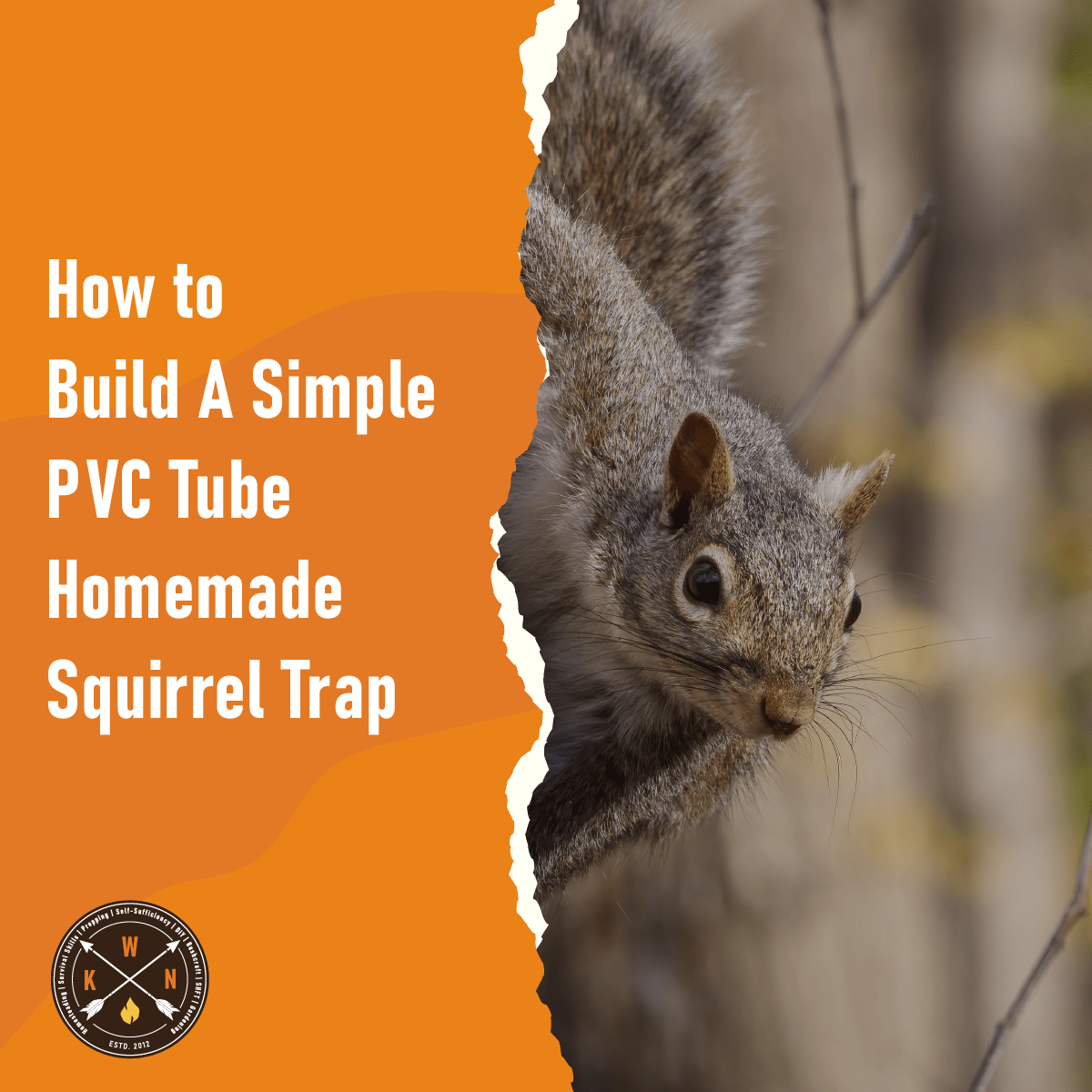 How To Make A Diy Squirrel Trap How To Build A Simple PVC Tube Homemade Squirrel Trap