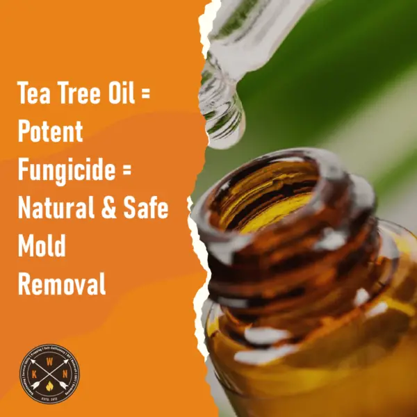 Tea Tree Oil Potent Fungicide Natural Safe Mold Removal for facebook