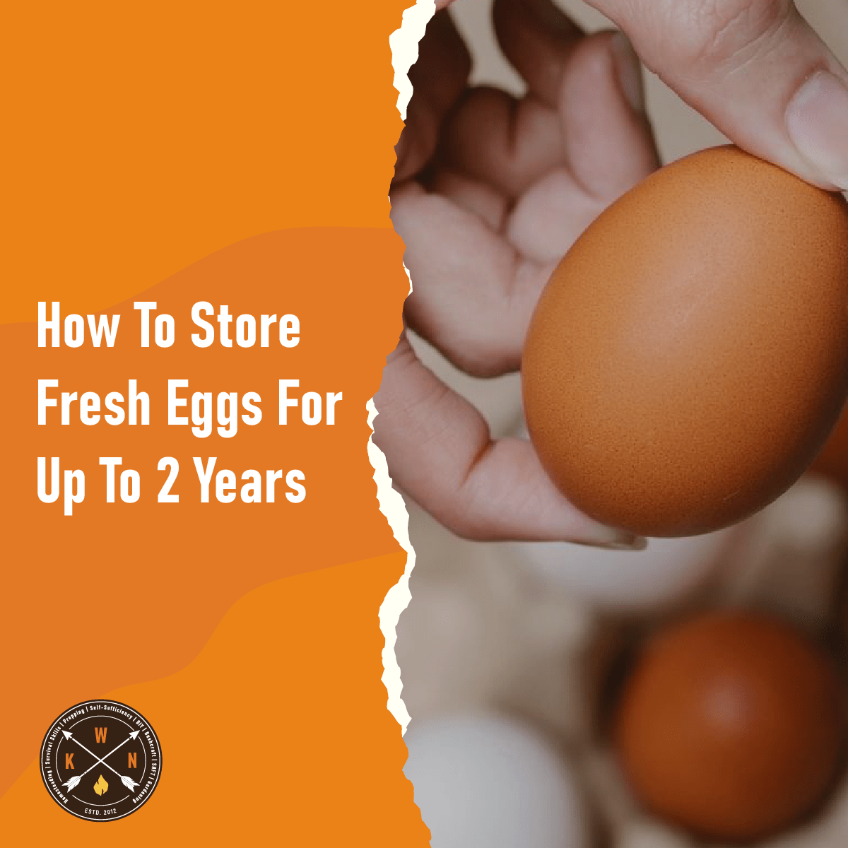 How To Store Fresh Eggs For Up To 2 Years