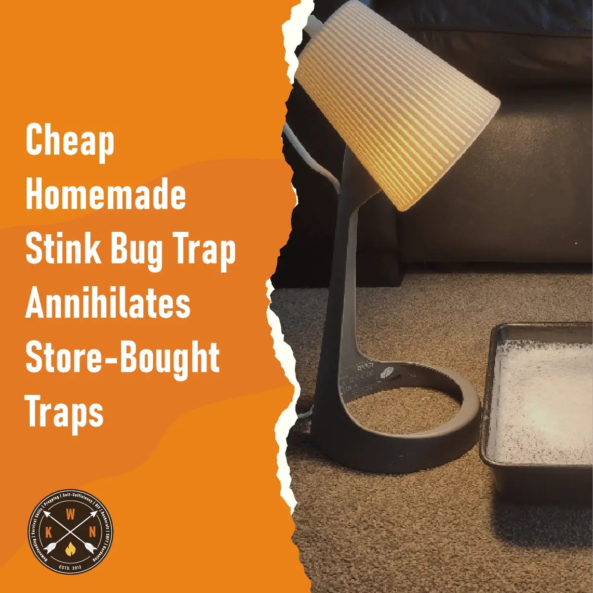A Stink Bug Trap that Really Works – Place a light above a pan with soapy  water and leave the light on all night. The stink …