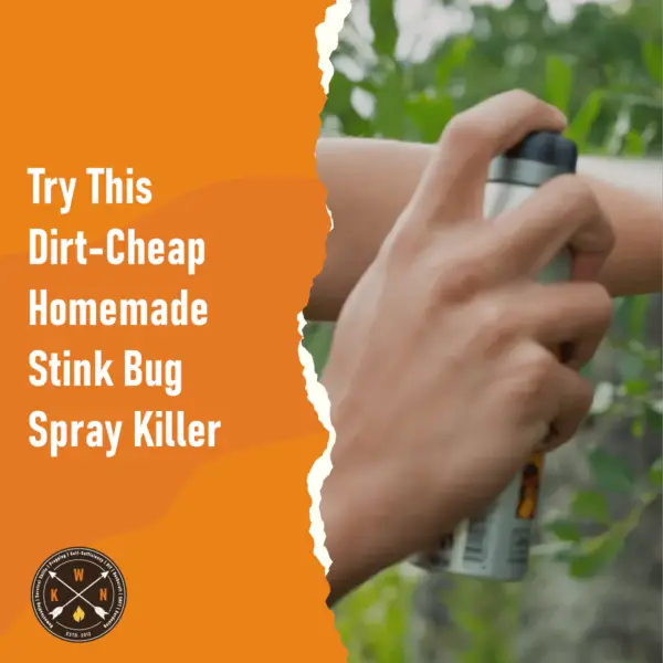 Try This Dirt Cheap Homemade Stink Bug Spray Killer for facebook