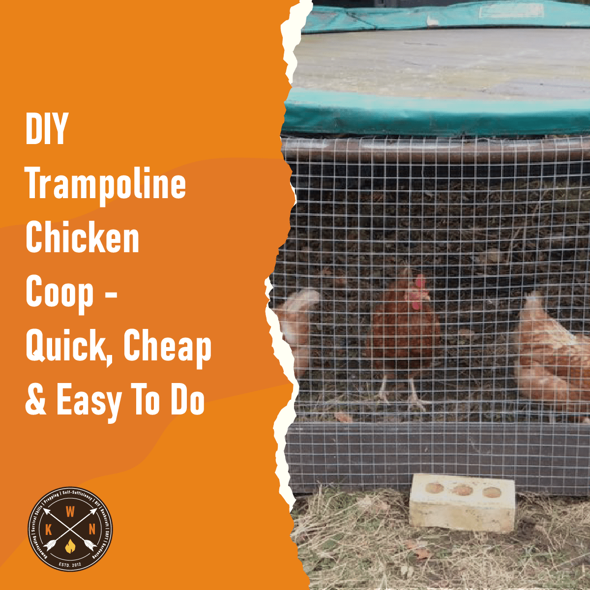 DIY Trampoline Chicken Coop Quick, Cheap & Easy To Do