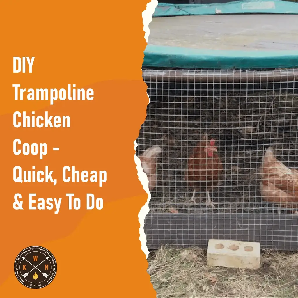 DIY Trampoline Chicken Coop Quick Cheap Easy To Do for facebook