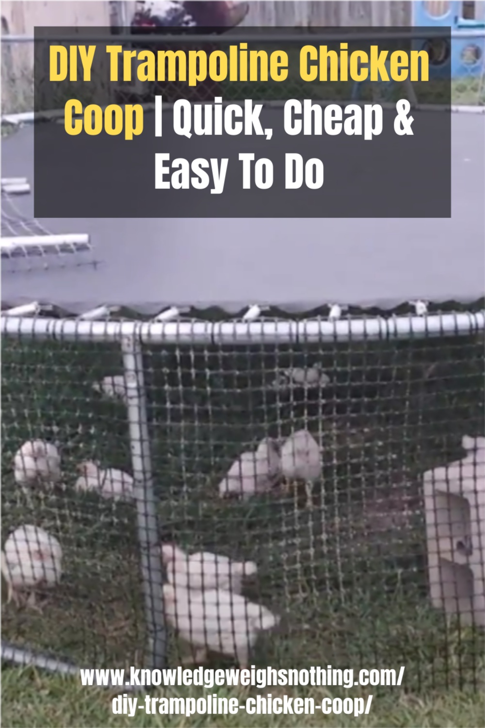 DIY Trampoline Chicken Coop Quick, Cheap & Easy To Do