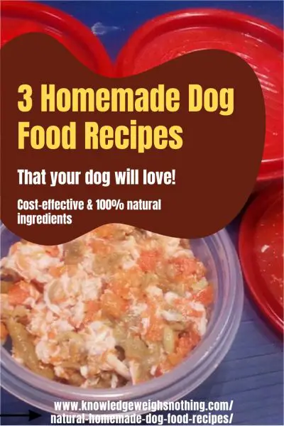 Dog food recipes