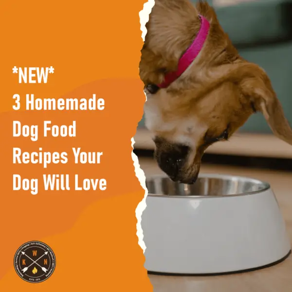 NEW 3 Homemade Dog Food Recipes Your Dog Will Love for facebook