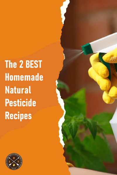 Homemade Natural Pesticide Recipes
