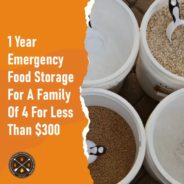 1 Year Emergency Food Storage For A Family Of 4 For Less Than $300