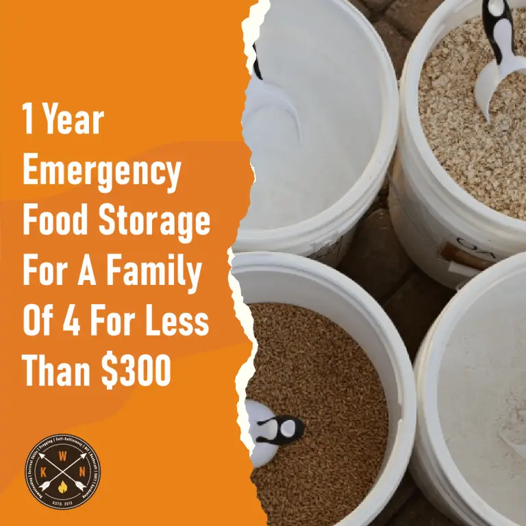1 Year Emergency Food Storage For A Family Of 4 For Less Than 300