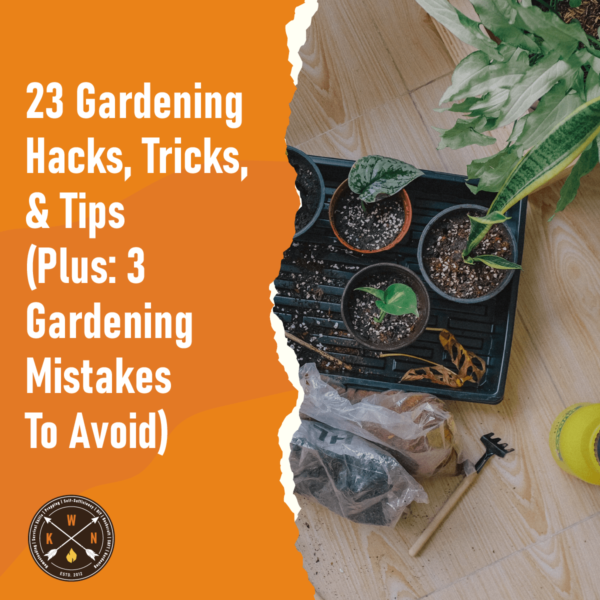 23 Gardening Hacks Tricks Tips Plus 3 Gardening Mistakes To Avoid