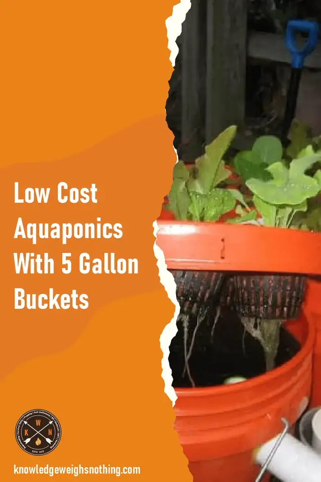 Low Cost Aquaponics